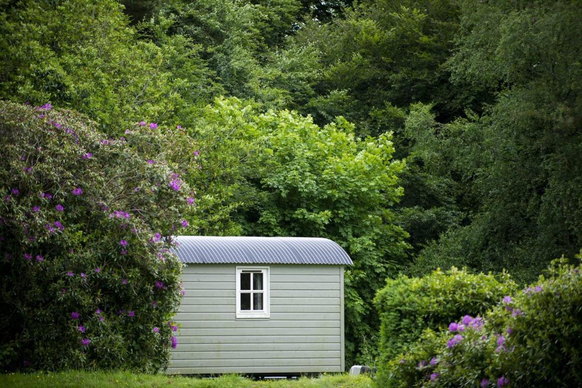 Blackstairs Shepherds Huts Killedmond Kültér fotó