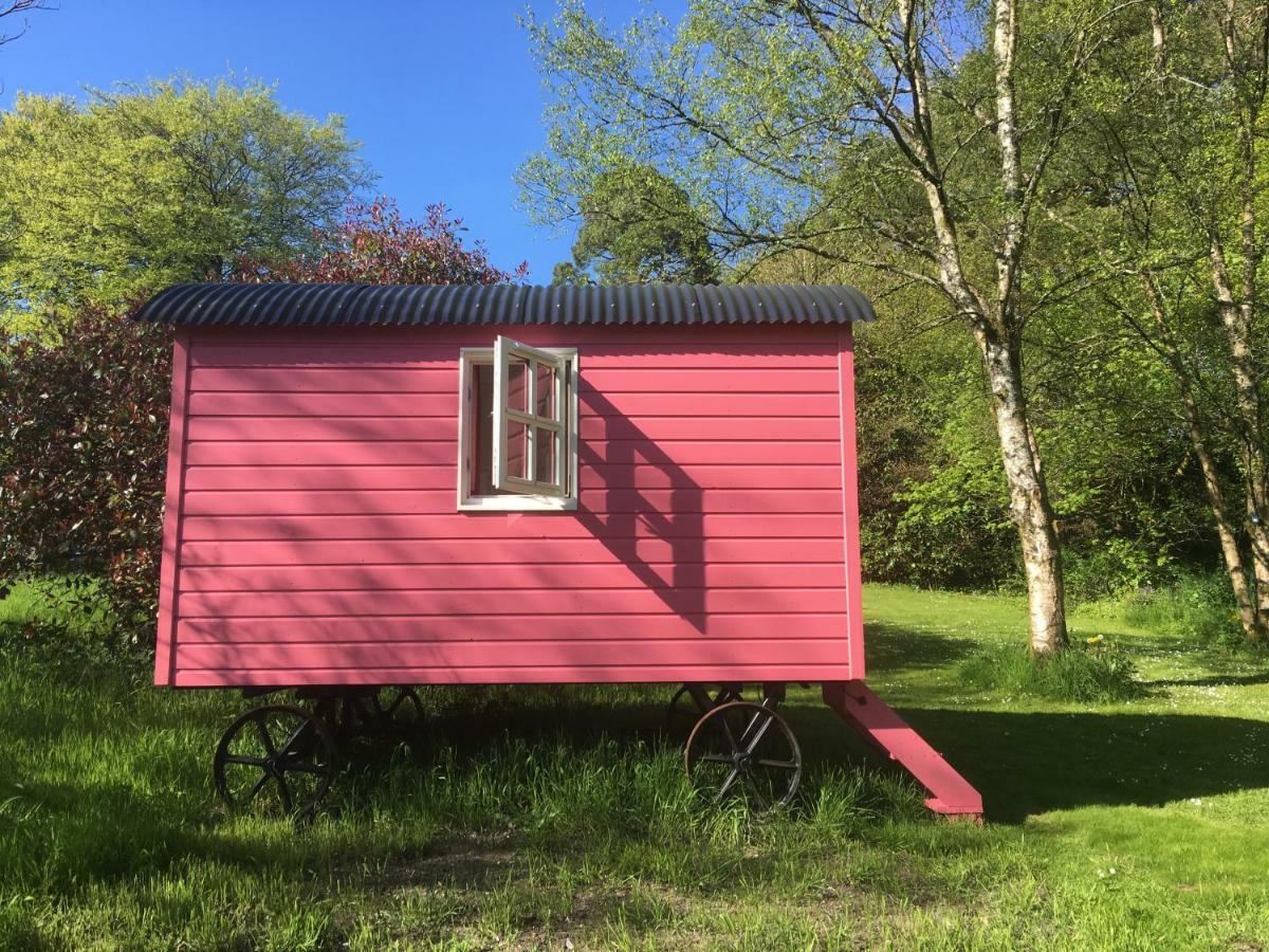 Blackstairs Shepherds Huts Killedmond Kültér fotó