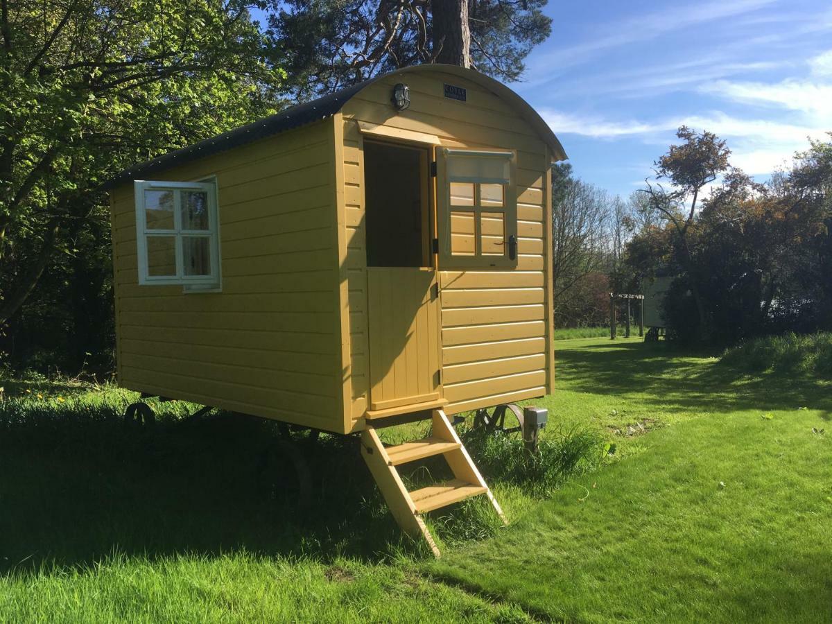 Blackstairs Shepherds Huts Killedmond Kültér fotó